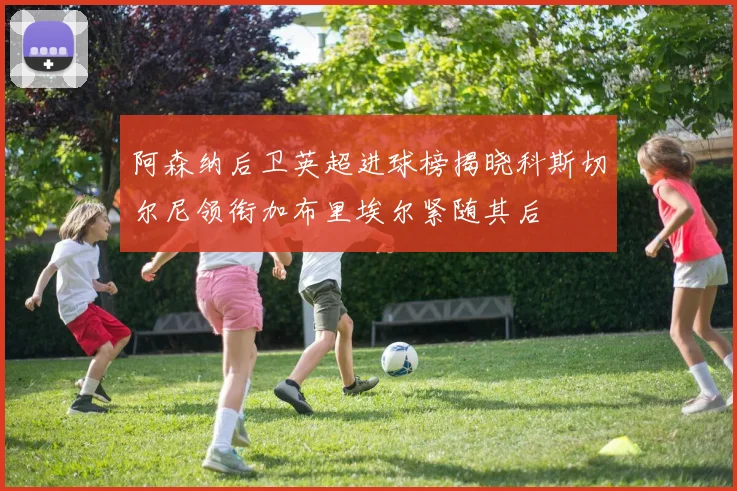阿森纳后卫英超进球榜揭晓科斯切尔尼领衔加布里埃尔紧随其后
