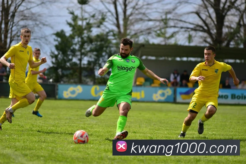 多彩内容专区